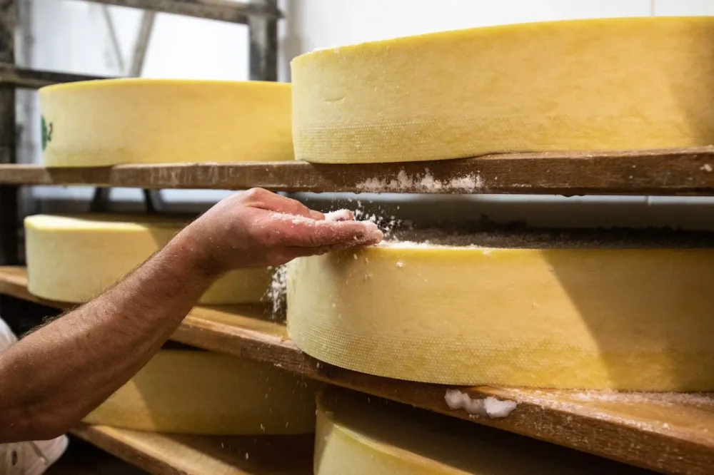Artisan fromager