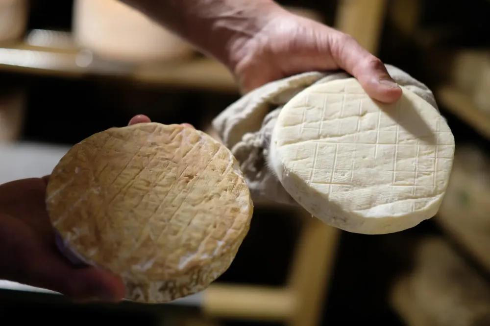 Fromages (5)